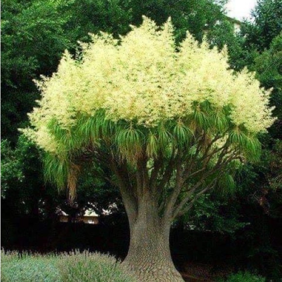 RARE FINE WHITE LEATHER IRIDISCENTE HANDBAG. Bird Printed. Sophisticate&Elegant - Picture 8 of 9